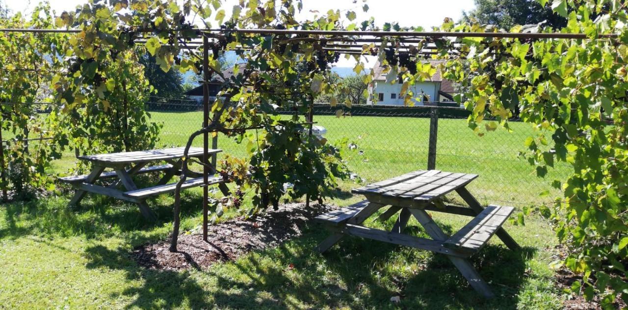 Seeidylle Winkler * Bodensdorf
